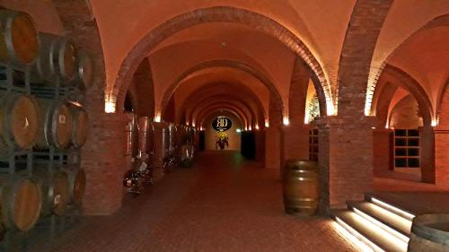 ngoc sang guesthouse