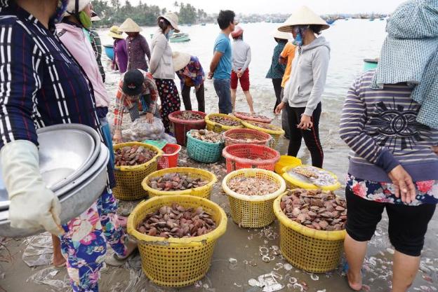 ngoc sang guesthouse
