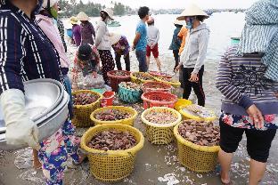 ngoc sang guesthouse