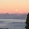 brunate