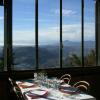 brunate