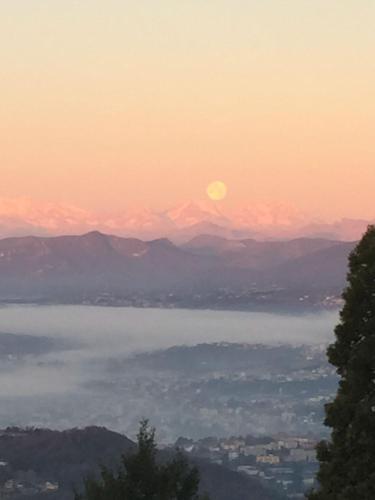 brunate