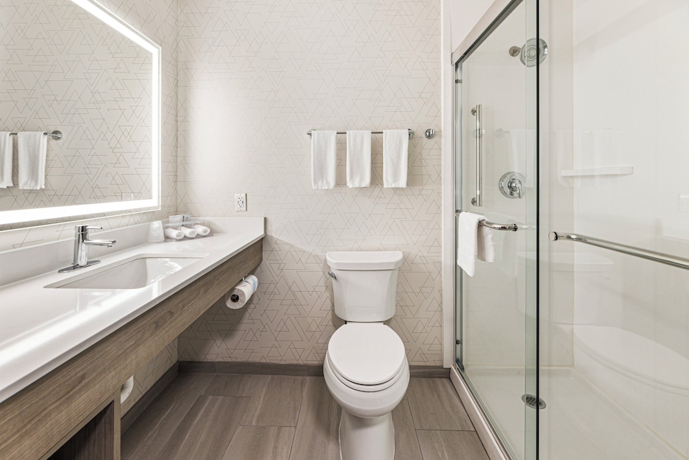 holiday inn express and suites buford ne lake lanier