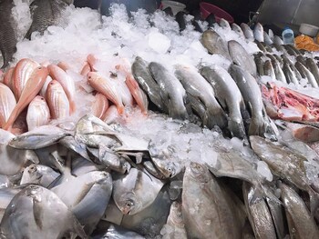 koh samui modern villa