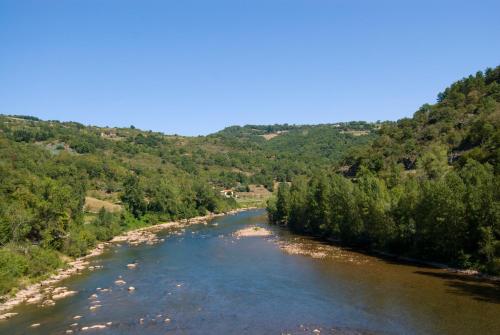 trebas