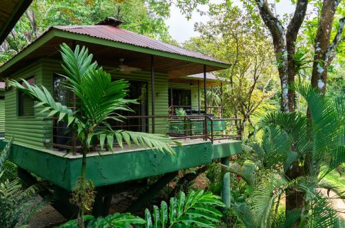 arbol verde villas