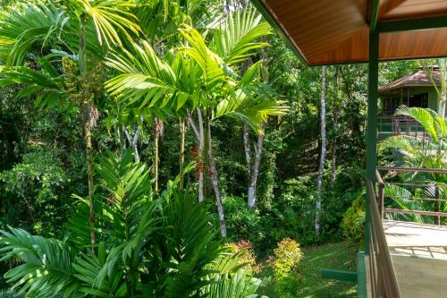 arbol verde villas