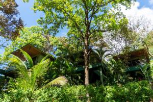 arbol verde villas