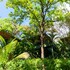 arbol verde villas