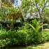 arbol verde villas