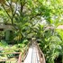 arbol verde villas