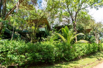 arbol verde villas