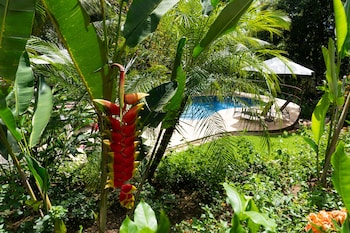 arbol verde villas