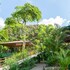 arbol verde villas