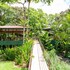 arbol verde villas
