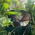 arbol verde villas