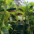 arbol verde villas