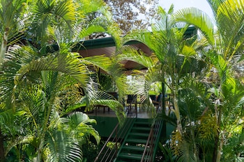 arbol verde villas