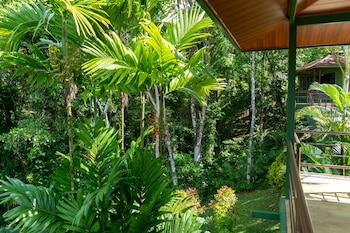 arbol verde villas