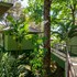 arbol verde villas