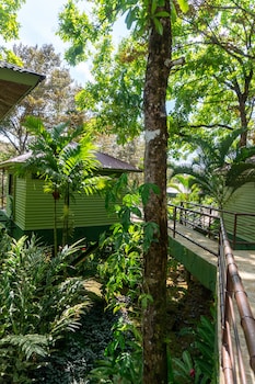 arbol verde villas