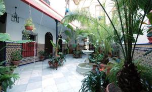 cordoba