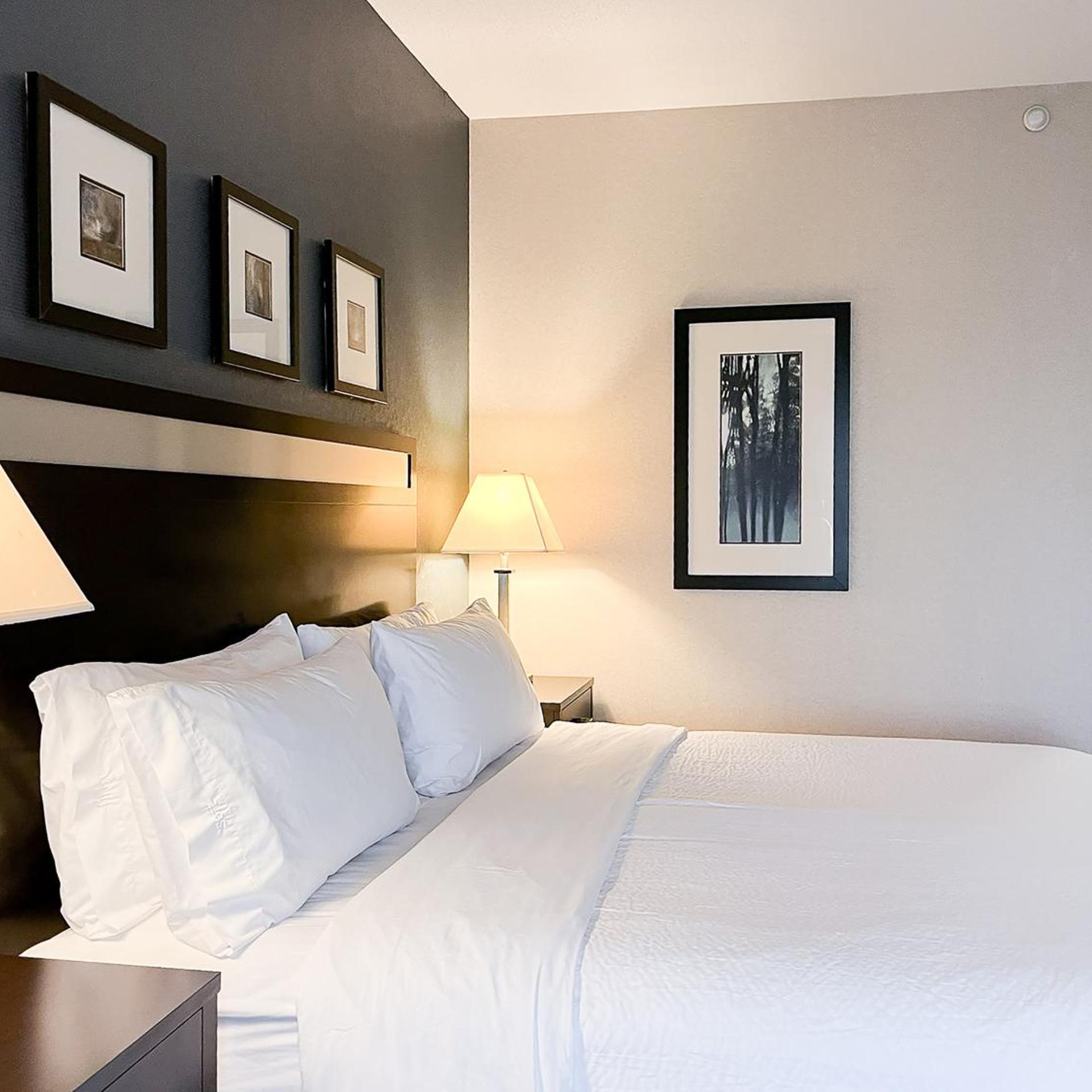 holiday inn express hotel and suites morton peoria a