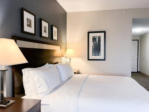 holiday inn express hotel and suites morton peoria a