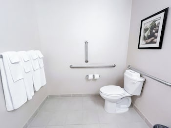 Holiday Inn Express Hotel And Suites Morton Peoria A,Morton Grove>>Morton,3 star