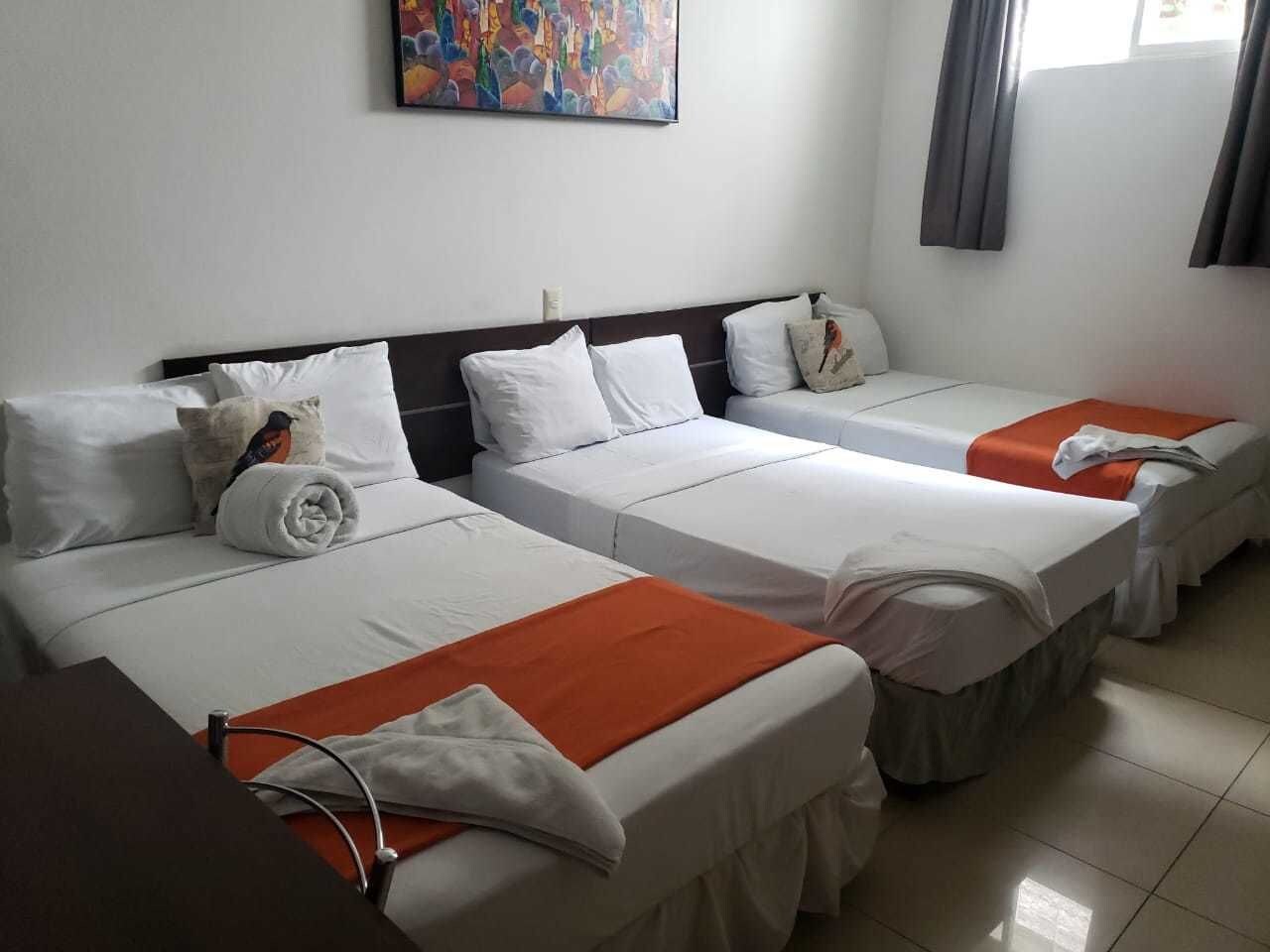 hotel arbol de suenos