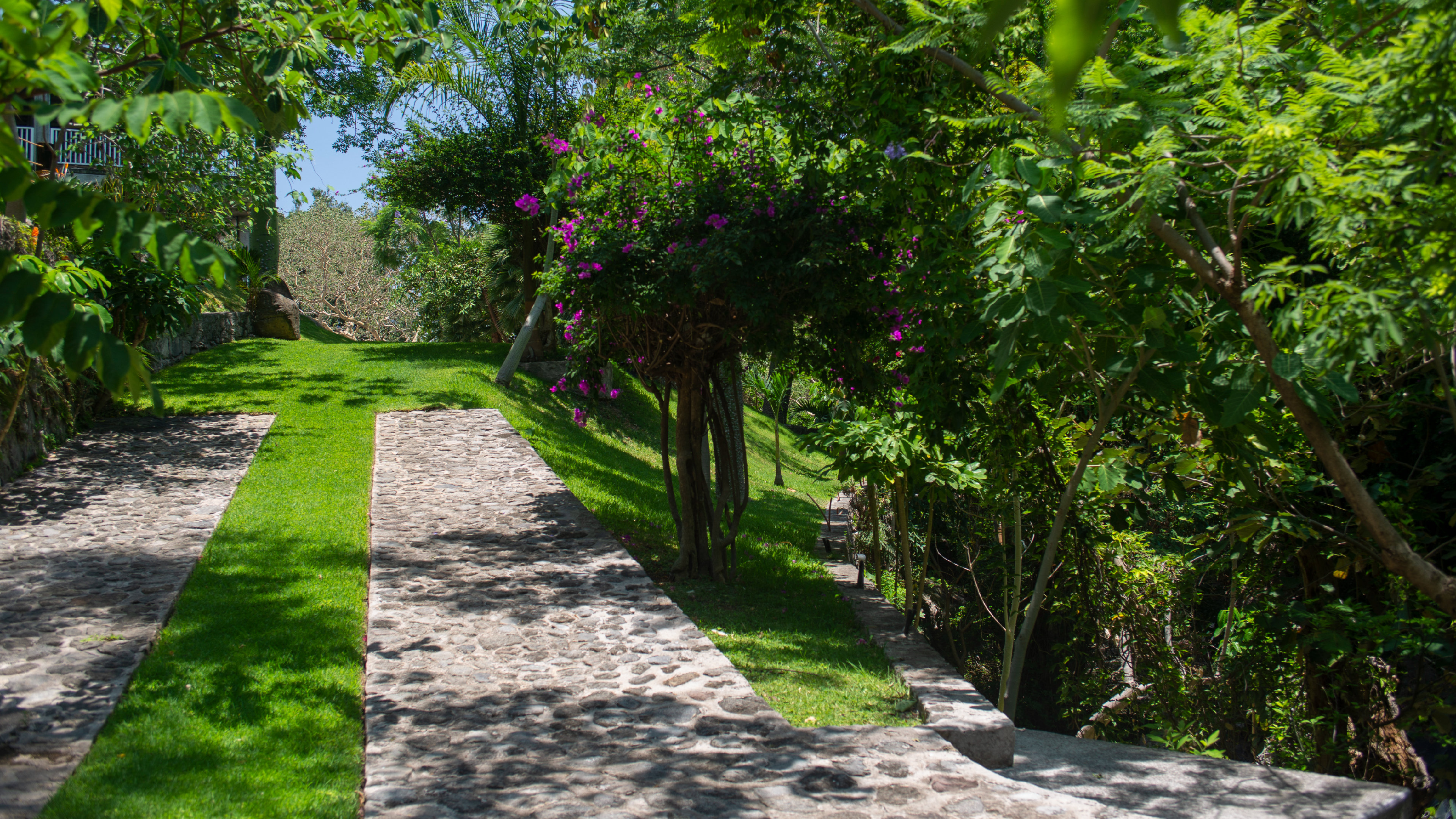 cuernavaca