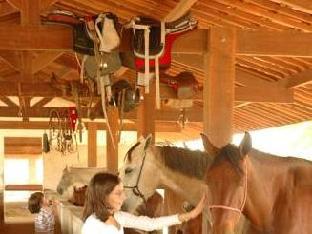 fazenda monte castelo