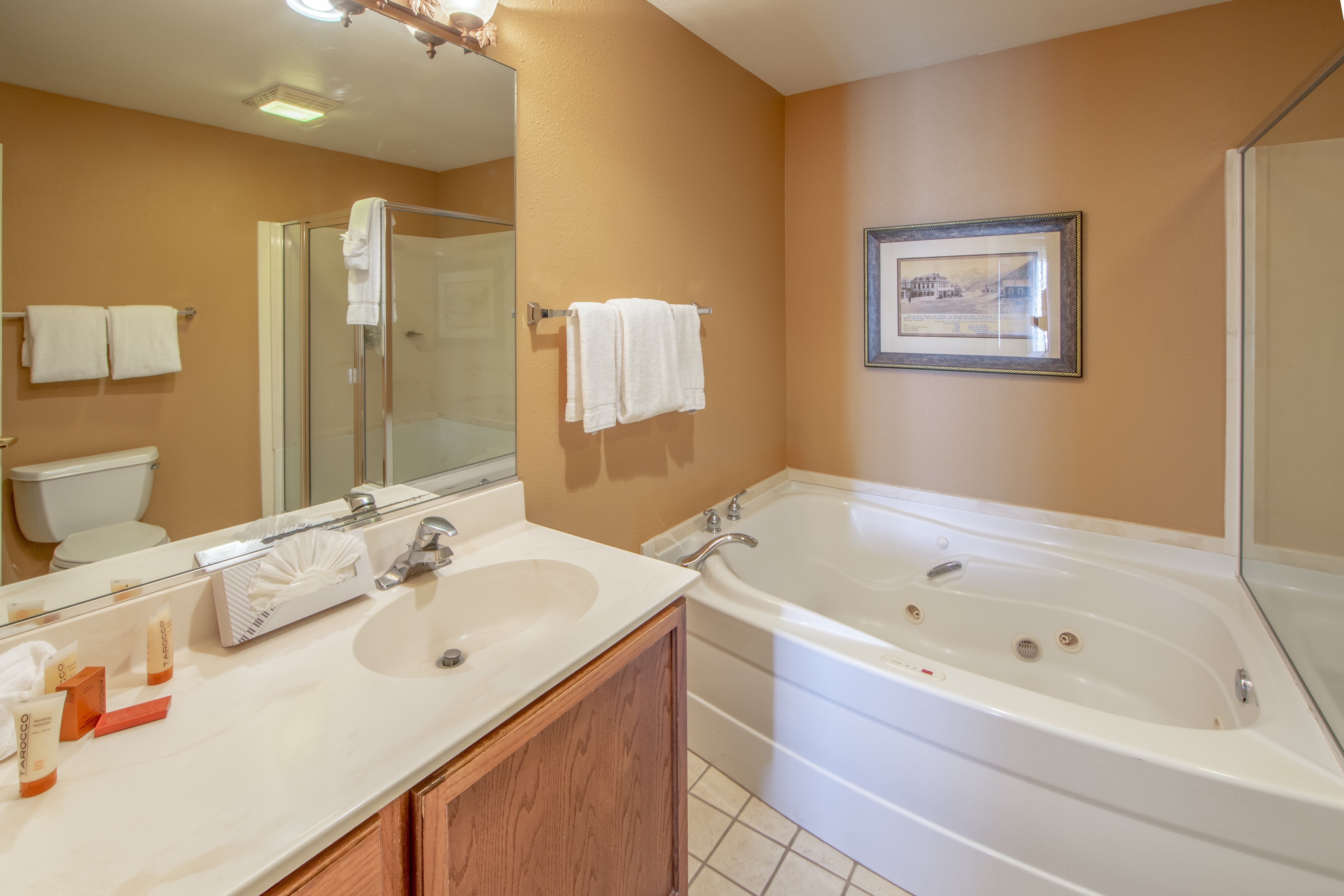 holiday inn club vacations david walleys resort by ihg