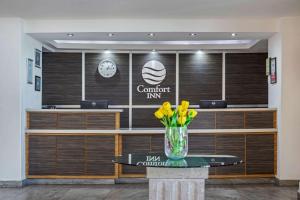 comfort inn queretaro