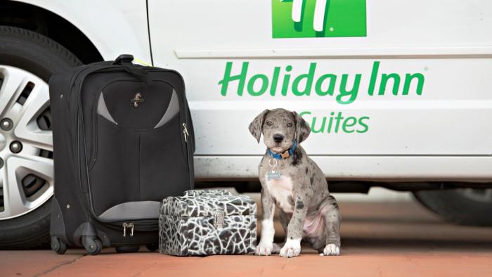 holiday inn bloomington airport by ihg