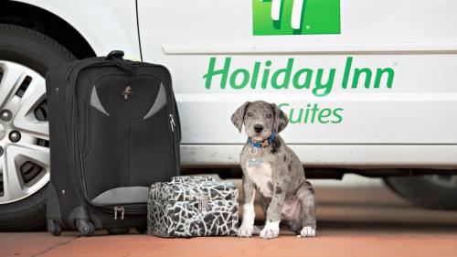 holiday inn bloomington airport by ihg