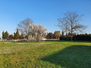 the originals access hotel clermont ferrand nord