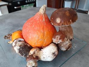 the originals access hotel clermont ferrand nord