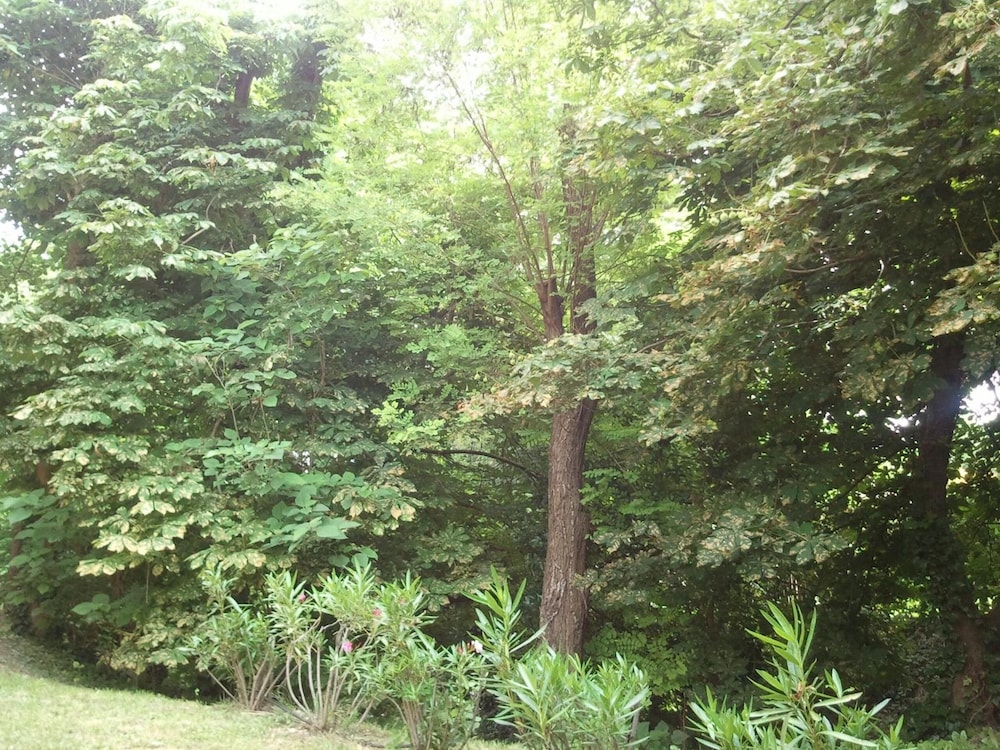 hotel belalp manosque