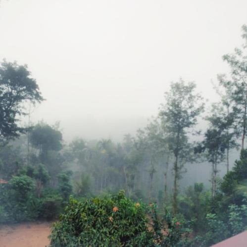 coorg