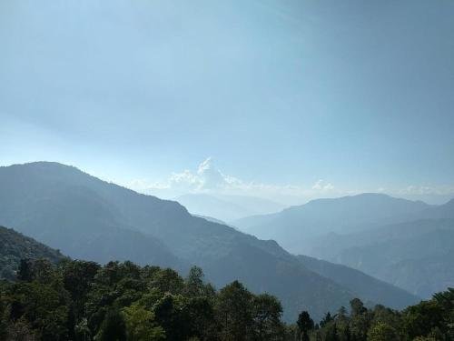Kynance Homestay,Gangtok>>Darjeeling,0 star