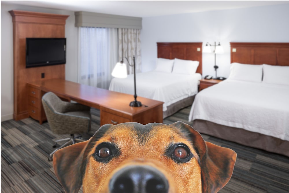 hampton inn and suites cedar rapids north