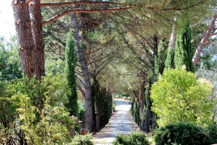 agriturismo antico borgo poggitazzi