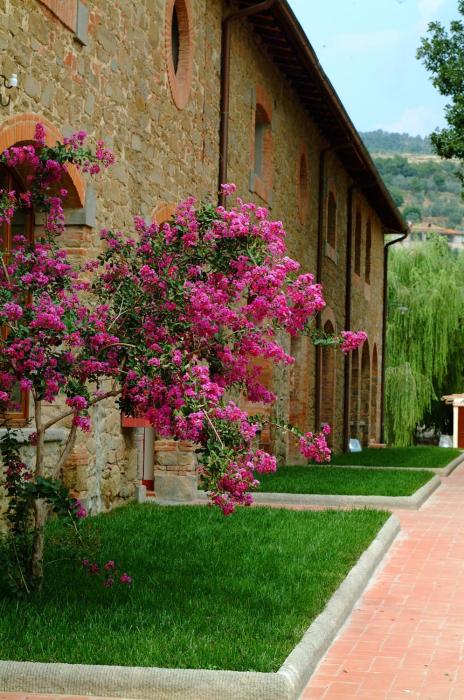 agriturismo antico borgo poggitazzi