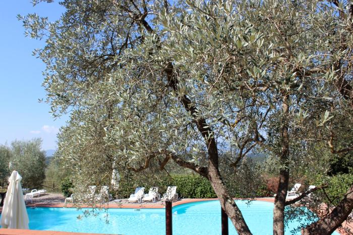 agriturismo antico borgo poggitazzi