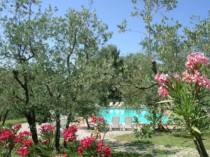 terranuova bracciolini