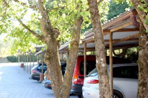 agriturismo antico borgo poggitazzi