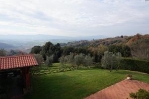 terranuova bracciolini