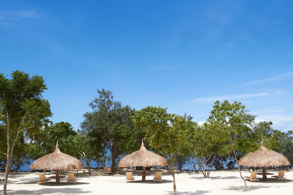 bluewater panglao beach resort
