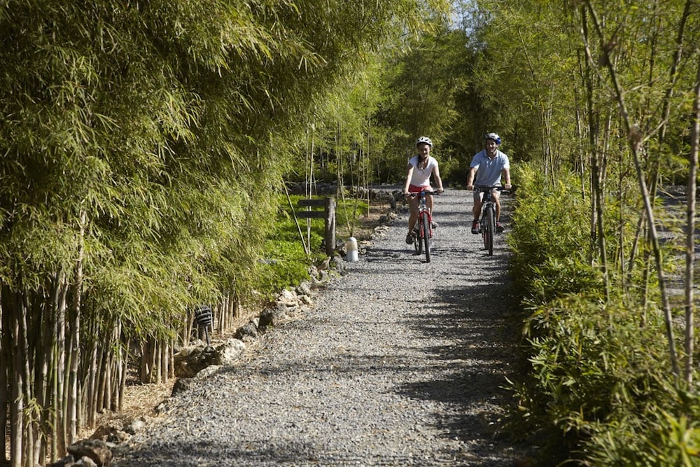 bluewater panglao beach resort